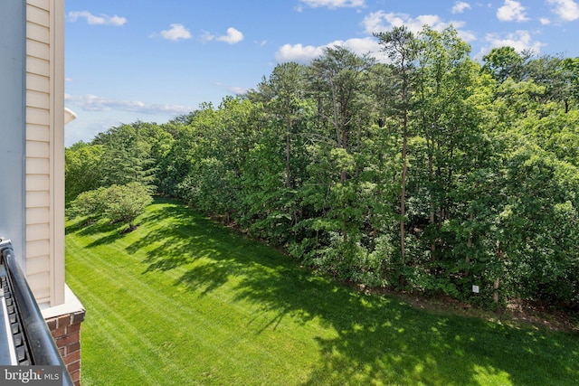 8609 Wintergreen Ct Unit 304, Odenton, MD 21113 - view of grassy yard