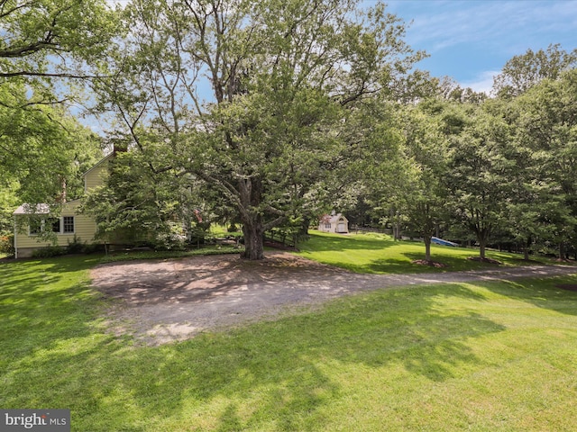 8301 Crestridge Rd, Fairfax Station, VA 22039 - view of green lawn