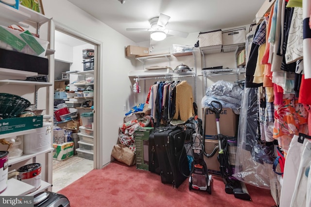 3214 Charing Cross Unit 18, Wilmington, DE 19808 - spacious closet with ceiling fan