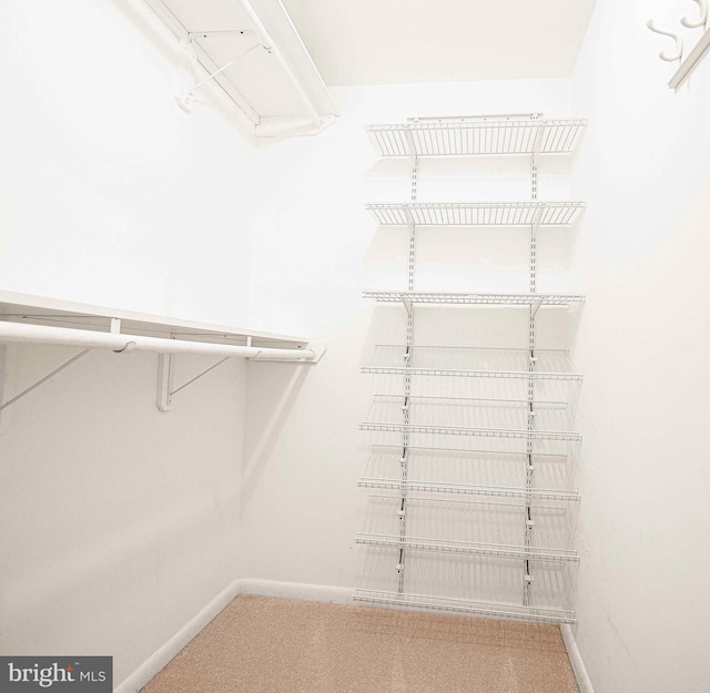 1 Lough Mask Ct Unit 101, Lutherville Timonium, MD 21093 - view of spacious closet