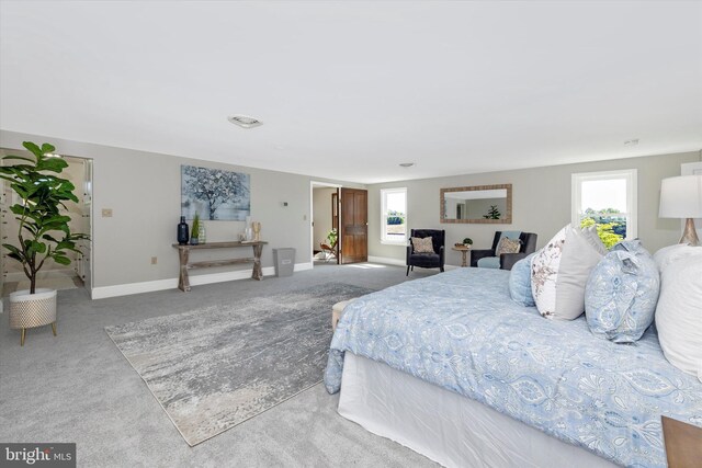 8423 Yellow Springs Rd, Frederick, MD 21702 - carpeted bedroom featuring baseboards
