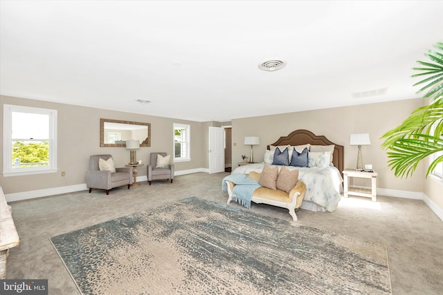 8423 Yellow Springs Rd, Frederick, MD 21702 - bedroom featuring carpet floors and baseboards