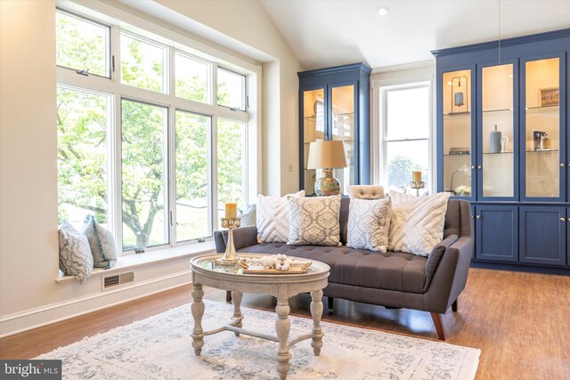 8423 Yellow Springs Rd, Frederick, MD 21702 - living area with lofted ceiling, light wood-type flooring, and baseboards