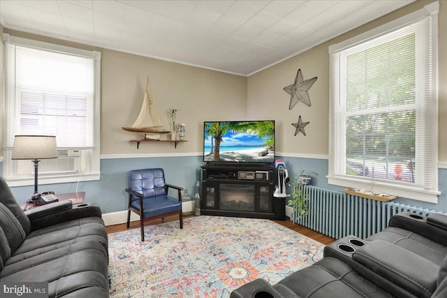 410 Windsor St, Wyomissing, PA 19610 - living room with radiator heating unit, wood finished floors, healthy amount of natural light, and ornamental molding