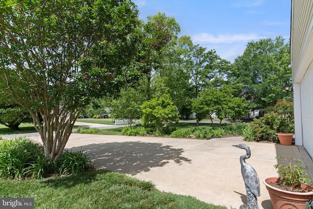 7482 Jeffreys Way, Easton, MD 21601 - view of yard with a patio
