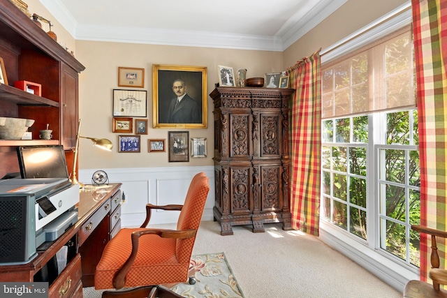 7482 Jeffreys Way, Easton, MD 21601 - home office with carpet flooring, wainscoting, and ornamental molding