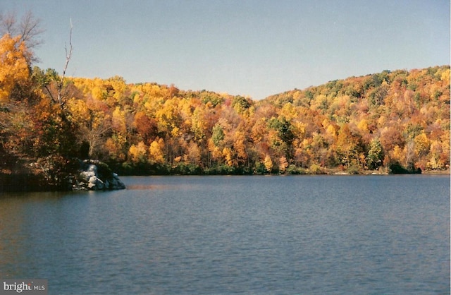 6712 Ridgecrest Rd, New Market, MD 21774 - water view with a forest