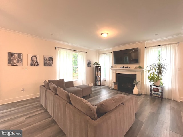 16801 Chalet Ct, Chesterfield, VA 23832 - living room featuring ornamental molding, dark wood finished floors, a fireplace with flush hearth, and baseboards