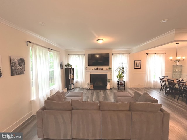 16801 Chalet Ct, Chesterfield, VA 23832 - living room featuring ornamental molding, wood finished floors, a fireplace, and plenty of natural light