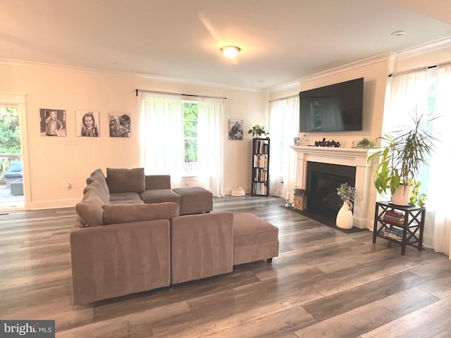 16801 Chalet Ct, Chesterfield, VA 23832 - living room with ornamental molding, plenty of natural light, and wood finished floors