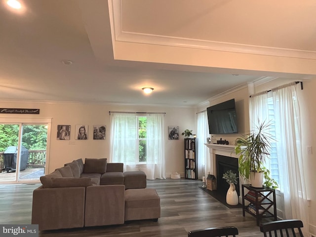 16801 Chalet Ct, Chesterfield, VA 23832 - living room featuring ornamental molding, healthy amount of natural light, dark wood finished floors, and a fireplace with flush hearth