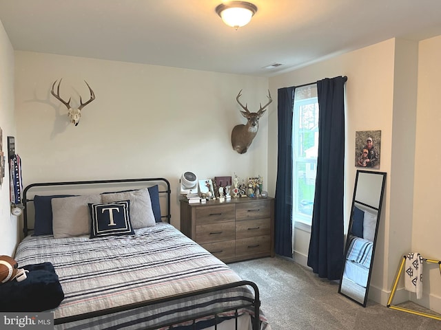16801 Chalet Ct, Chesterfield, VA 23832 - carpeted bedroom with baseboards