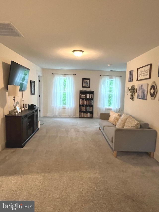 16801 Chalet Ct, Chesterfield, VA 23832 - carpeted living room featuring healthy amount of natural light