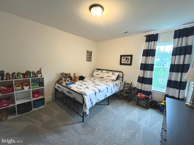 16801 Chalet Ct, Chesterfield, VA 23832 - view of carpeted bedroom