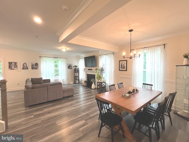 16801 Chalet Ct, Chesterfield, VA 23832 - dining room featuring crown molding, a chandelier, wood finished floors, a fireplace, and baseboards