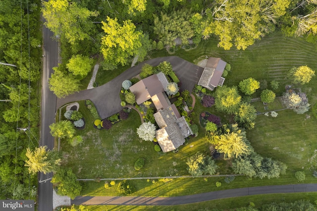 1249 Pebble Hill Rd, Doylestown, PA 18901 - aerial view of property and surrounding area
