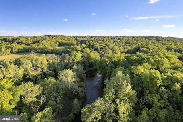 1249 Pebble Hill Rd, Doylestown, PA 18901 - aerial view of property and surrounding area with a heavily wooded area