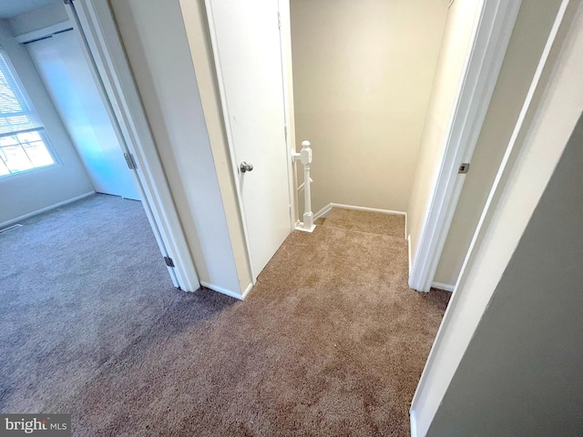 4522 Grouse Pl, Waldorf, MD 20603 - corridor featuring carpet floors and baseboards