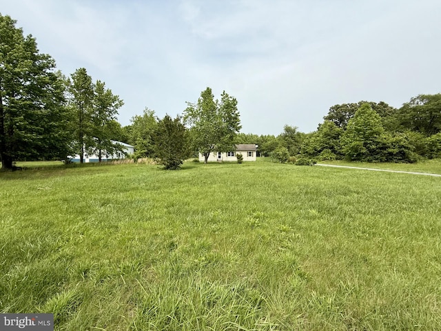 1170 Proctors Purchase Rd, Hartly, DE 19953 - view of yard
