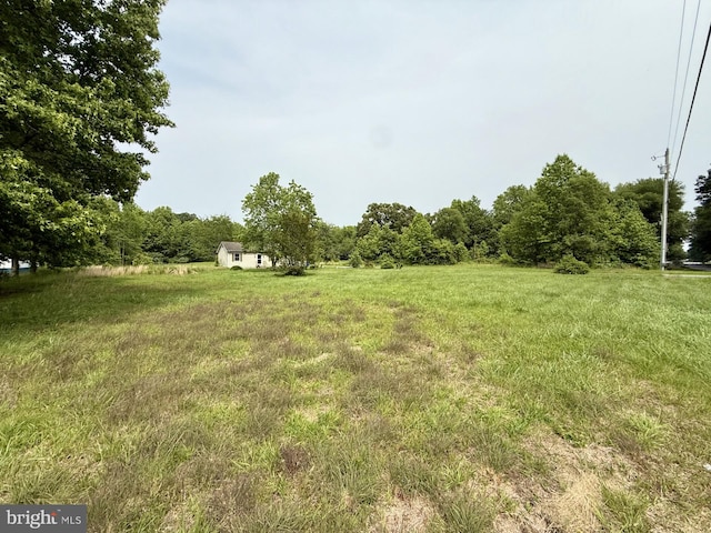 1170 Proctors Purchase Rd, Hartly, DE 19953 - view of yard