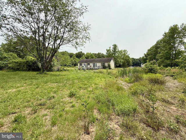 1170 Proctors Purchase Rd, Hartly, DE 19953 - view of yard