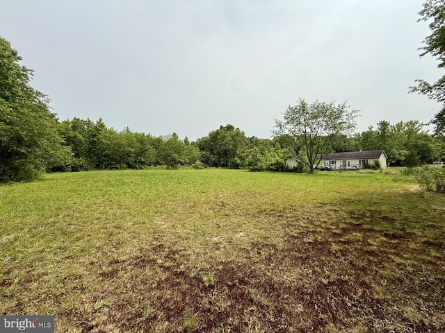 1170 Proctors Purchase Rd, Hartly, DE 19953 - view of grassy yard with a wooded view