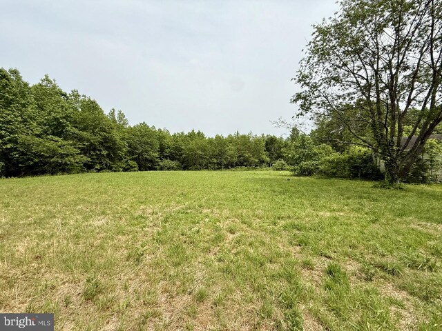 1170 Proctors Purchase Rd, Hartly, DE 19953 - view of grassy yard with a view of trees