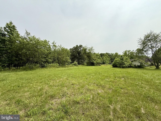 1170 Proctors Purchase Rd, Hartly, DE 19953 - view of yard