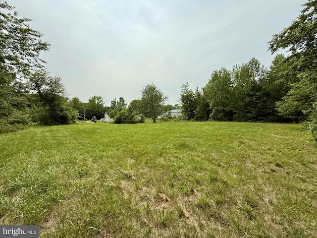 1170 Proctors Purchase Rd, Hartly, DE 19953 - view of green lawn