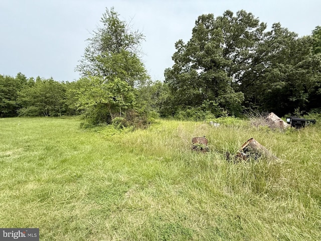 1170 Proctors Purchase Rd, Hartly, DE 19953 - view of wooded area