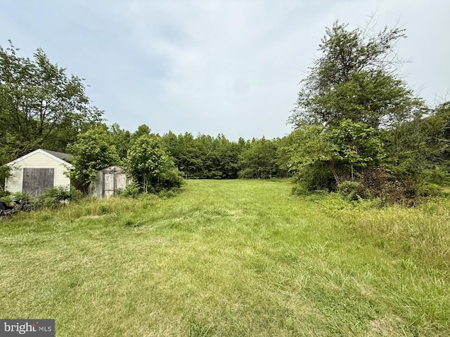 1170 Proctors Purchase Rd, Hartly, DE 19953 - view of yard