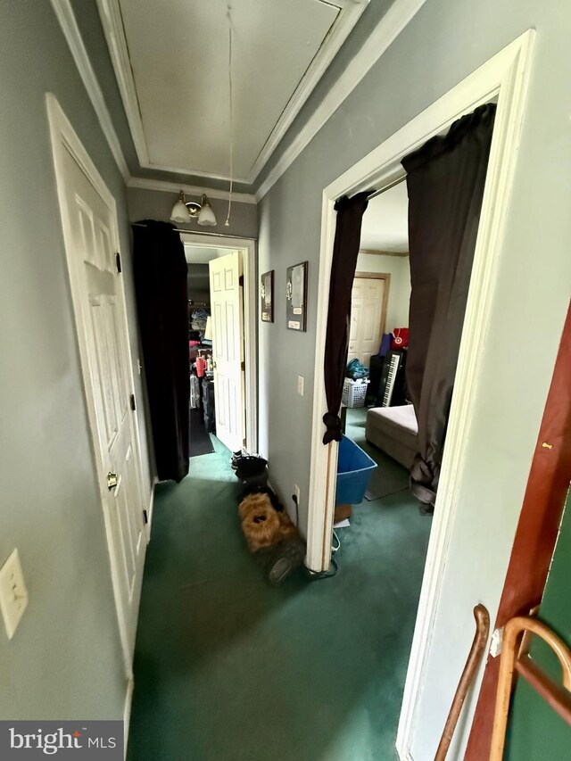 1170 Proctors Purchase Rd, Hartly, DE 19953 - corridor with attic access, carpet, and crown molding