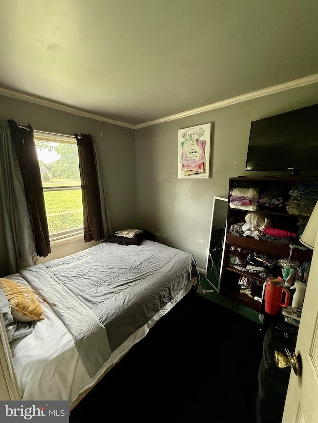 1170 Proctors Purchase Rd, Hartly, DE 19953 - bedroom featuring ornamental molding