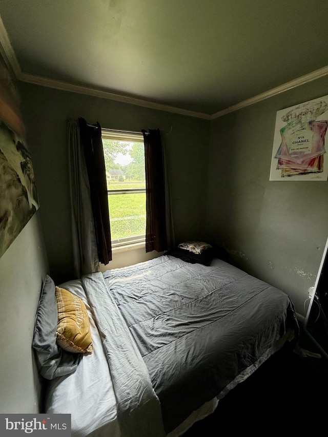 1170 Proctors Purchase Rd, Hartly, DE 19953 - bedroom with crown molding