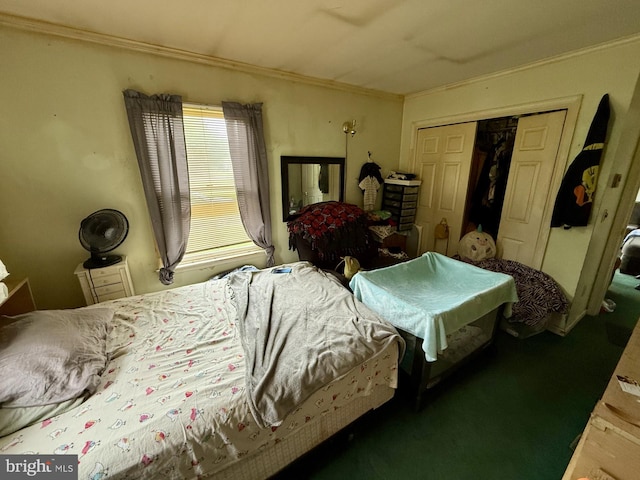 1170 Proctors Purchase Rd, Hartly, DE 19953 - carpeted bedroom with ornamental molding and a closet