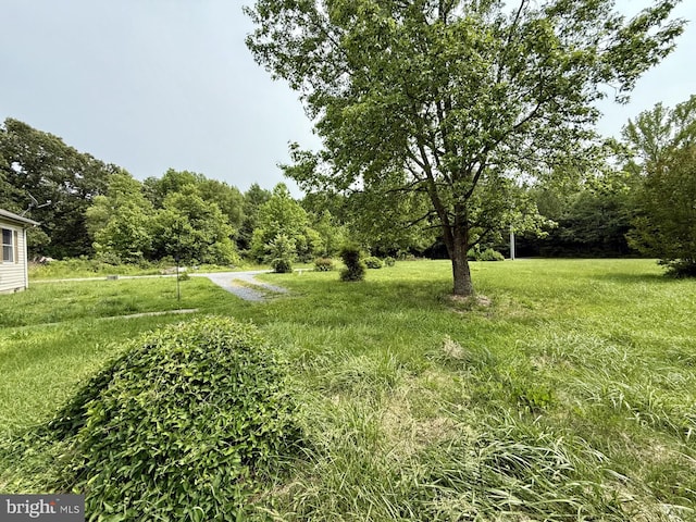 1170 Proctors Purchase Rd, Hartly, DE 19953 - view of yard