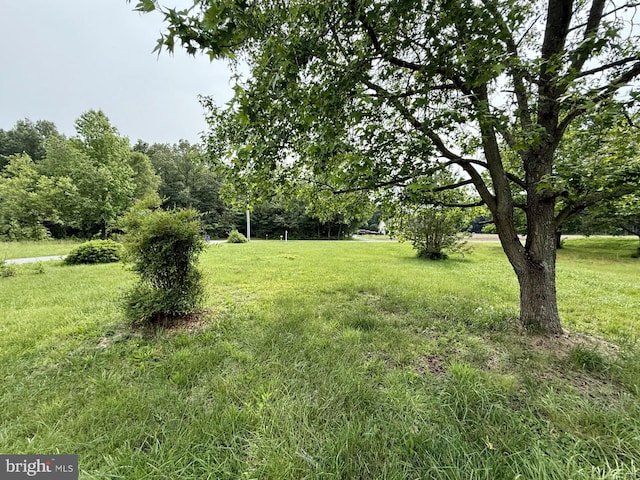 1170 Proctors Purchase Rd, Hartly, DE 19953 - view of grassy yard