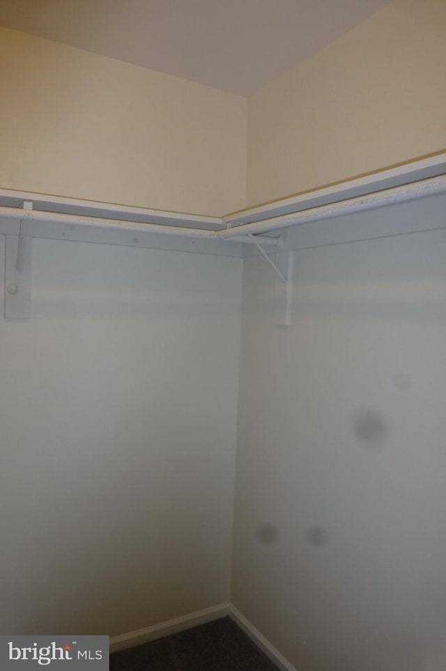 302 Independence Dr, Southampton, PA 18966 - view of walk in closet