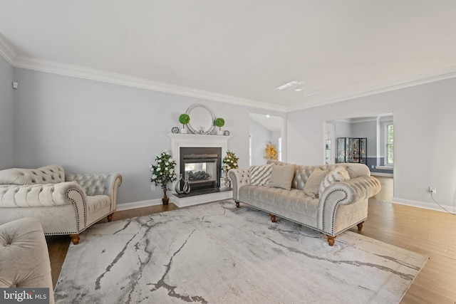 2 Jessica Ct, Tabernacle, NJ 08088 - living area featuring ornamental molding, wood finished floors, baseboards, and a glass covered fireplace