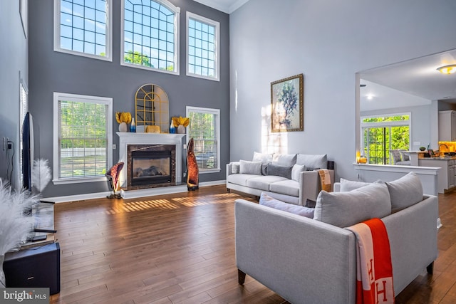 2 Jessica Ct, Tabernacle, NJ 08088 - living room featuring a high ceiling, a fireplace, hardwood / wood-style floors, baseboards, and ornamental molding