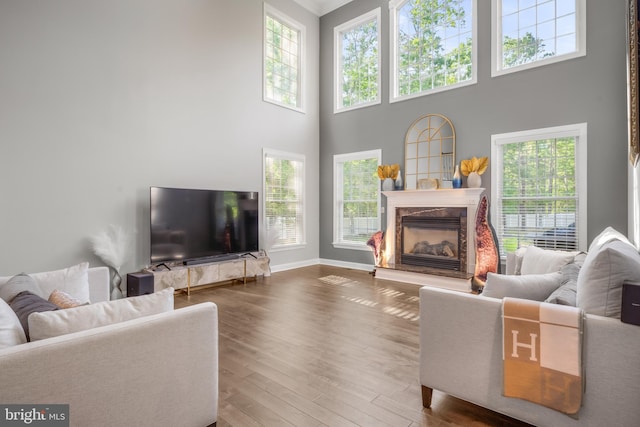 2 Jessica Ct, Tabernacle, NJ 08088 - living room featuring a high end fireplace, a high ceiling, wood finished floors, and baseboards
