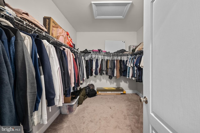 2 Jessica Ct, Tabernacle, NJ 08088 - walk in closet with attic access and carpet