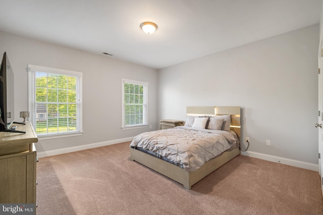 2 Jessica Ct, Tabernacle, NJ 08088 - bedroom featuring carpet flooring, multiple windows, and baseboards
