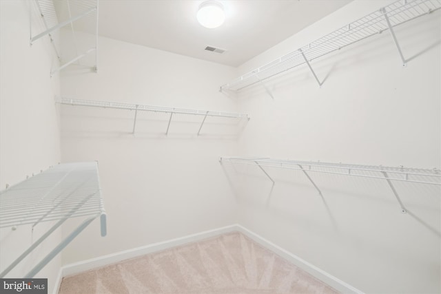 14908 Little Bennett Dr, Clarksburg, MD 20871 - spacious closet featuring carpet floors