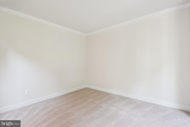 14908 Little Bennett Dr, Clarksburg, MD 20871 - spare room with light carpet, baseboards, and crown molding