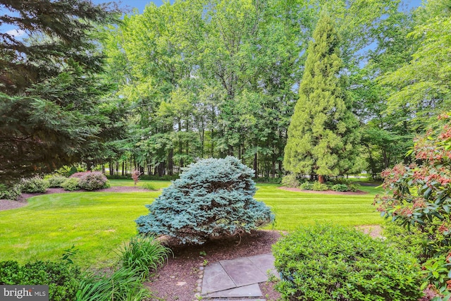 14908 Little Bennett Dr, Clarksburg, MD 20871 - view of green lawn