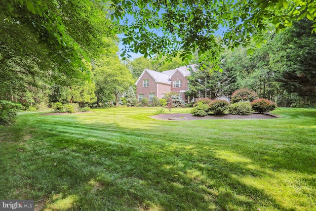 14908 Little Bennett Dr, Clarksburg, MD 20871 - view of green lawn