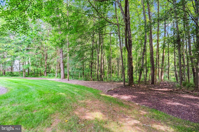 14908 Little Bennett Dr, Clarksburg, MD 20871 - view of green lawn featuring a wooded view