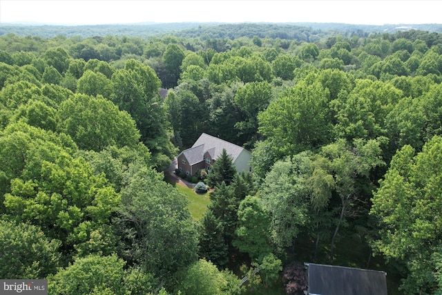14908 Little Bennett Dr, Clarksburg, MD 20871 - view of subject property featuring a forest
