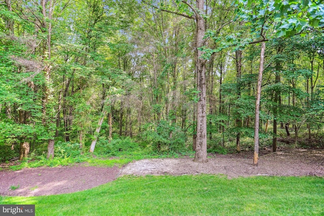 14908 Little Bennett Dr, Clarksburg, MD 20871 - view of green lawn with a view of trees